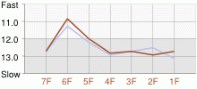 Lap Chart