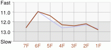 Lap Chart