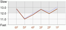 Lap Chart