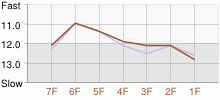 Lap Chart