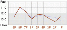 Lap Chart