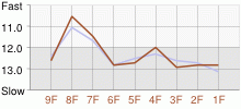 Lap Chart