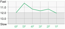 Lap Chart