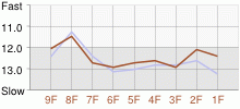 Lap Chart