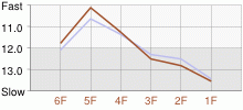 Lap Chart