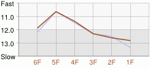 Lap Chart