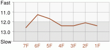 Lap Chart