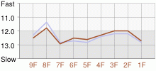 Lap Chart