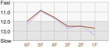 Lap Chart