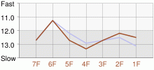 Lap Chart