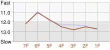 Lap Chart