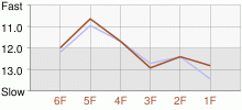 Lap Chart