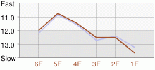 Lap Chart