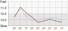 Lap Chart