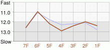 Lap Chart