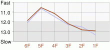 Lap Chart