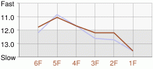 Lap Chart