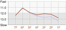 Lap Chart