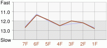 Lap Chart