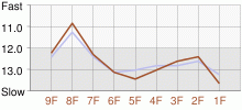 Lap Chart