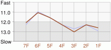 Lap Chart