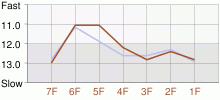 Lap Chart