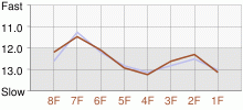 Lap Chart