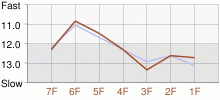 Lap Chart