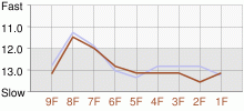 Lap Chart