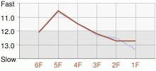 Lap Chart