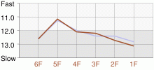 Lap Chart