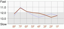 Lap Chart