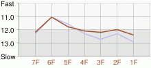 Lap Chart