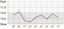 Lap Chart