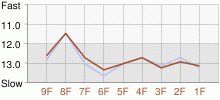 Lap Chart