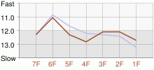 Lap Chart