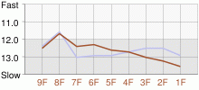 Lap Chart