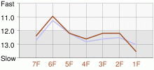 Lap Chart