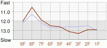 Lap Chart