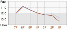 Lap Chart