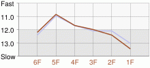 Lap Chart