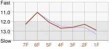 Lap Chart