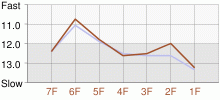 Lap Chart