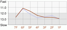 Lap Chart