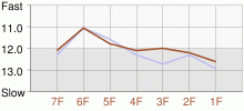 Lap Chart