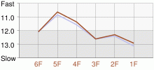 Lap Chart