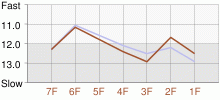 Lap Chart