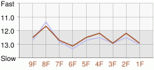 Lap Chart