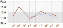 Lap Chart