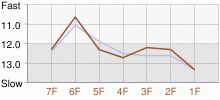 Lap Chart